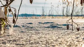 Zimowe jezioro Gołdopiwo w okolicach Przerwanek, styczeń 2024 r. - zdjęcie 25