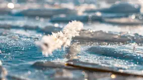 Zimowe jezioro Gołdopiwo w okolicach Przerwanek, styczeń 2024 r. - zdjęcie 31