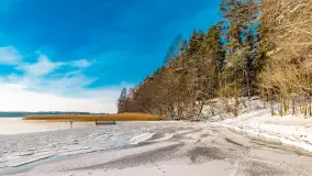 Zimowe jezioro Gołdopiwo w okolicach Przerwanek, styczeń 2024 r. - zdjęcie 17