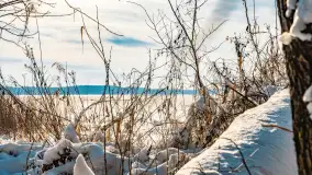 Zimowe jezioro Gołdopiwo w okolicach Przerwanek, styczeń 2024 r. - zdjęcie 33