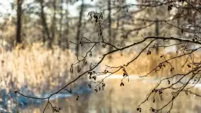 Zima nad rzeką Dajna, witajcie na bajecznych Mazurach, styczeń 2024 r. - zdjęcie 36