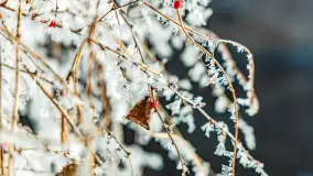 Zima nad rzeką Dajna, witajcie na bajecznych Mazurach, styczeń 2024 r. - zdjęcie 29