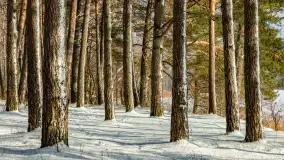 Biwak ekipy Mazury24 nad jeziorem Kruklin, styczeń 2024 r. - zdjęcie 17