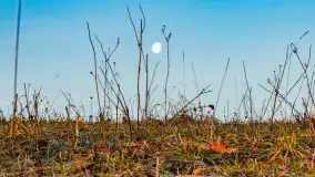 Wschód słońca z resztkami zimy nad jeziorem Siercze, styczeń 2024 r. - zdjęcie 5