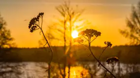 Wschód słońca z resztkami zimy nad jeziorem Siercze, styczeń 2024 r. - zdjęcie 30