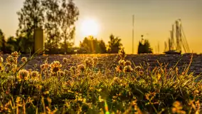 Wschód słońca w Bocianim Gnieździe, czerwiec 2023 r. - zdjęcie 20