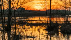 Mazurski zachód słońca odbity w rozlewiskach, luty 2024 r. - zdjęcie 7