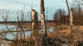 Mazurski zachód słońca odbity w rozlewiskach, luty 2024 r. - zdjęcie 4