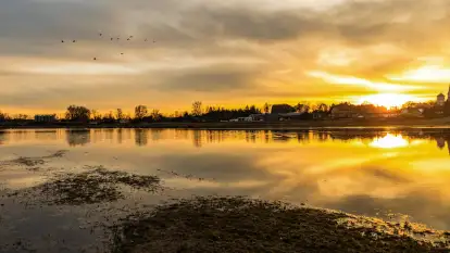 Zachód i rozlewiska przy Karolewie, luty 2024 r.