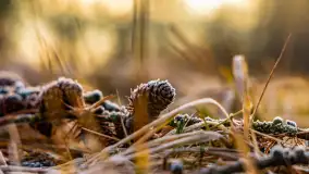 Wschód słońca nad jeziorem Wydmińskim, luty 2024 r. - zdjęcie 11