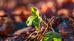 Wschód słońca nad jeziorem Wydmińskim, luty 2024 r. - zdjęcie 29