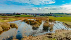 Przedwiośnie i mazurskie rozlewiska na polach i łąkach, luty 2024 r. - zdjęcie 3