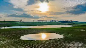 Przedwiośnie i mazurskie rozlewiska na polach i łąkach, luty 2024 r. - zdjęcie 22