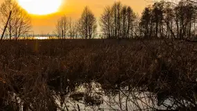 Zachód słońca nad Niegocinem, luty 2024 r. - zdjęcie 12