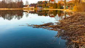 Zachód słońca nad Niegocinem, luty 2024 r. - zdjęcie 20