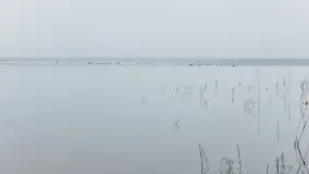 Mgliste Mazury, luty 2024 r. - zdjęcie 39