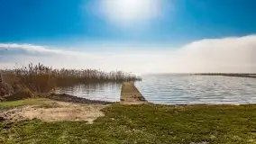 Mgliste Mazury, luty 2024 r. - zdjęcie 32