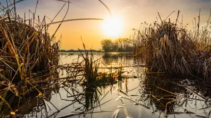 Przed zachodem słońca nad jeziorem Grajewko, luty 2024 r.