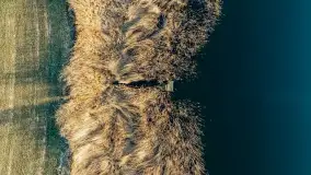 Przed zachodem słońca nad jeziorem Grajewko, luty 2024 r. - zdjęcie 30