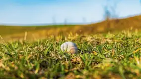 Przed zachodem słońca nad jeziorem Grajewko, luty 2024 r. - zdjęcie 28