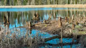 Jezioro Jagoczany, przedwiośnie, marzec 2024 r.  - zdjęcie 14