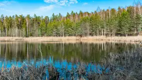 Jezioro Jagoczany, przedwiośnie, marzec 2024 r.  - zdjęcie 9