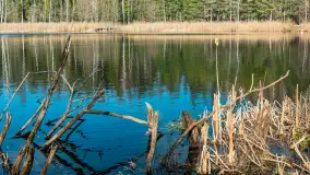 Jezioro Jagoczany, przedwiośnie, marzec 2024 r.  - zdjęcie 4