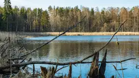 Jezioro Jagoczany, przedwiośnie, marzec 2024 r.  - zdjęcie 42