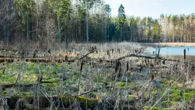 Jezioro Jagoczany, przedwiośnie, marzec 2024 r.  - zdjęcie 8