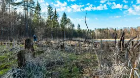 Jezioro Jagoczany, przedwiośnie, marzec 2024 r.  - zdjęcie 44