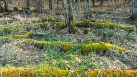 Jezioro Jagoczany, przedwiośnie, marzec 2024 r.  - zdjęcie 20