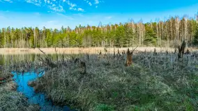 Jezioro Jagoczany, przedwiośnie, marzec 2024 r.  - zdjęcie 27