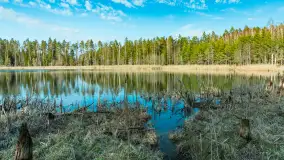 Jezioro Jagoczany, przedwiośnie, marzec 2024 r.  - zdjęcie 11