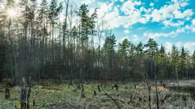 Jezioro Jagoczany, przedwiośnie, marzec 2024 r.  - zdjęcie 32