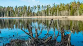 Jezioro Jagoczany, przedwiośnie, marzec 2024 r.  - zdjęcie 43