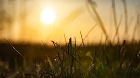 Zachód słońca nad stawami w Martianach, marzec 2024 r. - zdjęcie 31