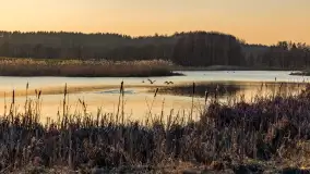 Zachód słońca nad stawami w Martianach, marzec 2024 r. - zdjęcie 7