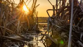 Zachód słońca nad stawami w Martianach, marzec 2024 r. - zdjęcie 4