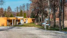 Przedwiośnie w Strandzie w Giżycku, luty 2024 r. - zdjęcie 11