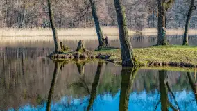 Marcowy dzień nad zatoką Skonał - zdjęcie 25