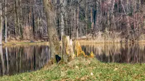 Marcowy dzień nad zatoką Skonał - zdjęcie 40