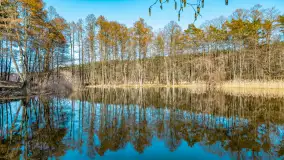 Marcowy dzień nad zatoką Skonał - zdjęcie 18