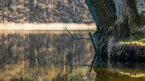 Marcowy dzień nad zatoką Skonał - zdjęcie 42