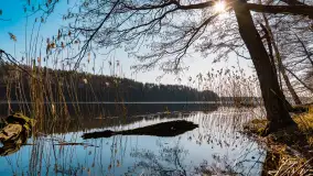 Marcowy dzień nad zatoką Skonał - zdjęcie 4