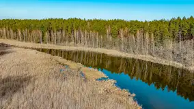 Marcowy dzień nad zatoką Skonał - zdjęcie 53