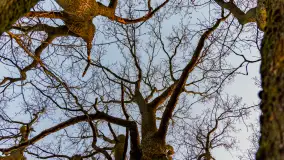 Zachód słońca nad Mazurskimi polami, Wopławki, marzec 2024 r. - zdjęcie 10