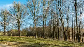 Jezioro Czarna Kuta i okolice, początek marca 2024 r. - zdjęcie 3