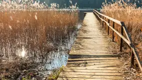 Jezioro Czarna Kuta i okolice, początek marca 2024 r. - zdjęcie 11