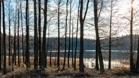 Jezioro Czarna Kuta i okolice, początek marca 2024 r. - zdjęcie 23