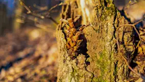 Zachód słońca w zatoce Skonał, nad jeziorem Tałty, marzec 2024 r. - zdjęcie 24